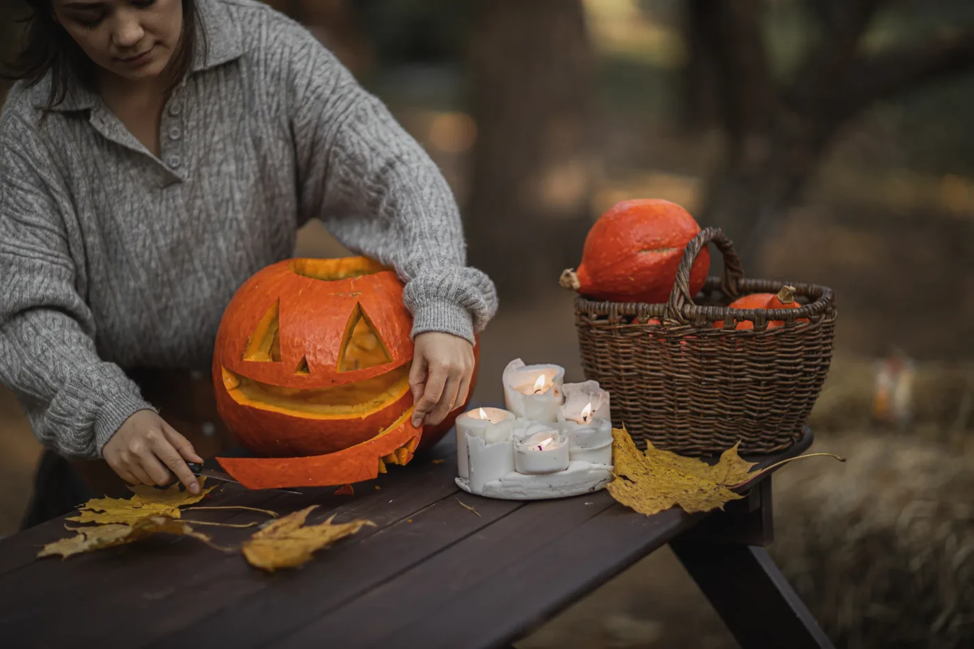 Interactive Hosting Concepts and DIY Curiosities