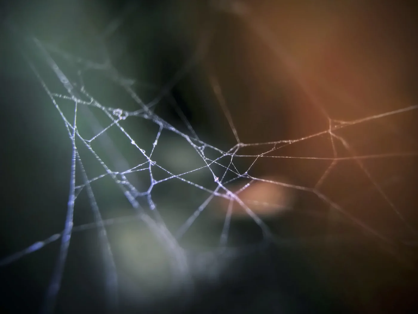 The Step-by-Step Method to Stretch Fake Spiderwebs